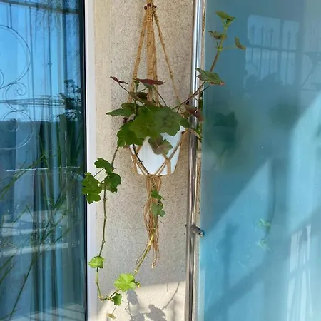 Sirius House Sveti Konstantin