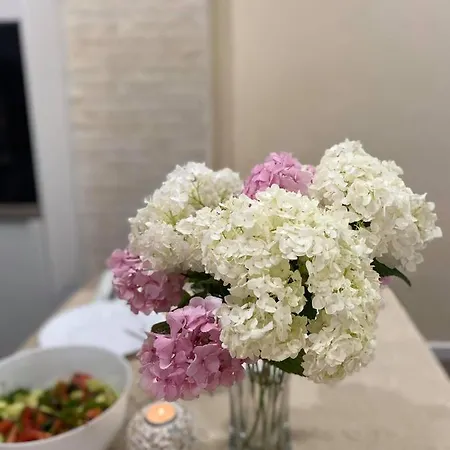 Sirius House Apartment *