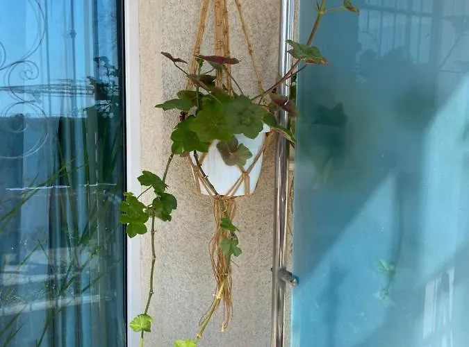 Sirius House Saints Constantine and Helena